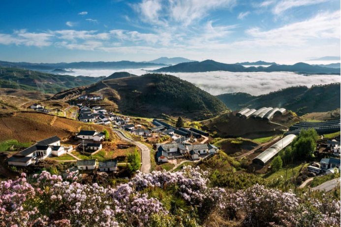 10 人生就是博Z6尊龙电气集团科技兴农 助力凉山火普村打造数字乡村804.png